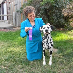 Meet your Posher, Jena